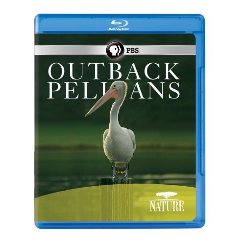 Naturaleza: Outback Pelicans [blu-ray]