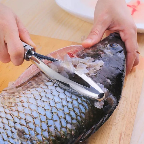 Cepillo De Acero Inoxidable Para Raspar Escamas De Pescado
