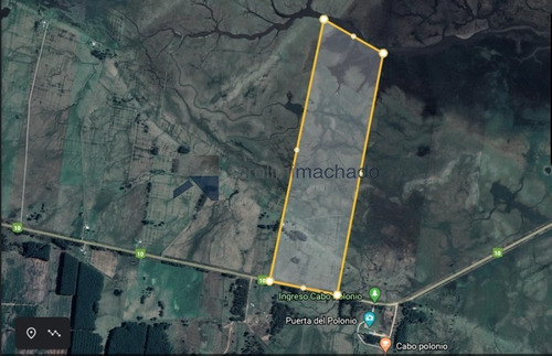 Campo En Venta - Ref: 1700