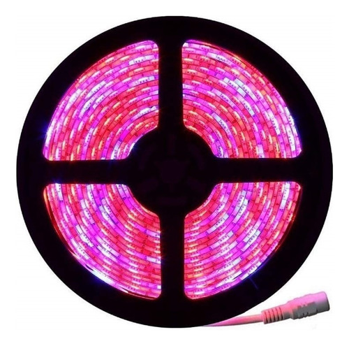 Tira Led 5050 Rollo 5 Metros Rosa 12v Interior 300 Chips