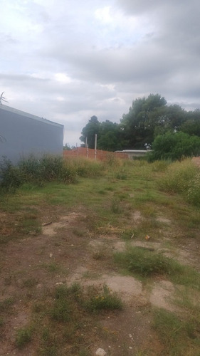 Zona Larralde Y Av Ramirez