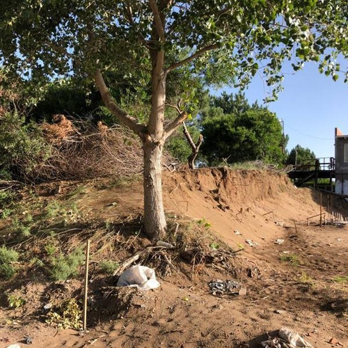 Imagen 4 de 4 de Terreno - Claromeco