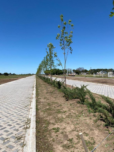 Imagen 2 de 8 de Venta - Lote De 514m2 - Barrio Abierto Residencial - Pueblo Esther