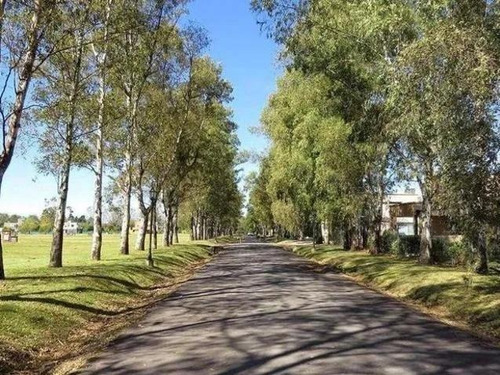 Imagen 6 de 15 de Oportunidad! Lote 1.000mts2. En B° Los Tres Pinos, General Rodríguez.