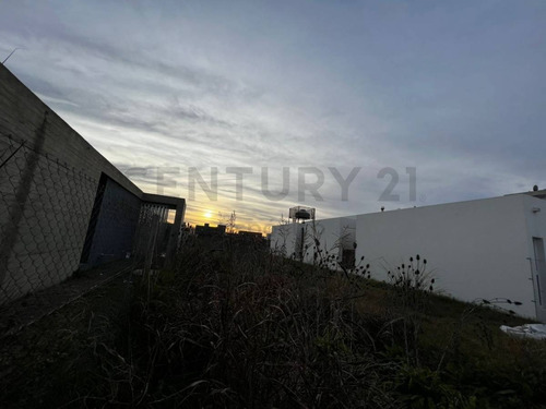 Imagen 9 de 18 de Lote En El Quimilar