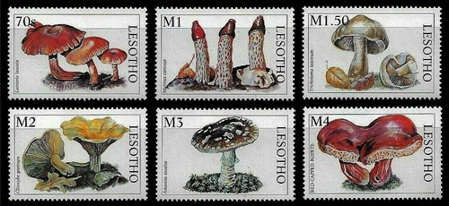 Flora - Hongos - Lesotho 1998 - Serie Mint