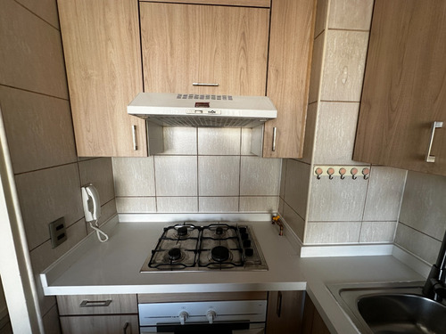 Departamento 1d1b Vista Penthouse Baquedano/providencia