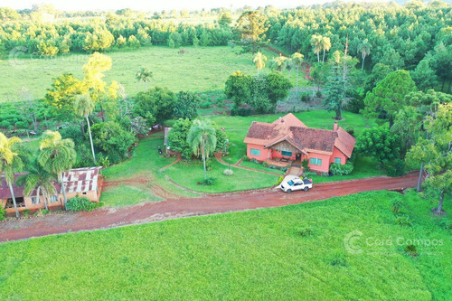 Imagen 9 de 20 de Se Vende Campo 70 Ha Con Gran Casa. Santo Pipó Misiones. Arroyo Y Pino. Suelo Para Yerba.