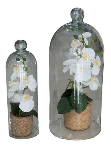 Conjunto De Cúpulas Decoração Com Orquídeas Decor Luxo Sala | Parcelamento  sem juros