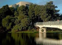 Imagen 5 de 8 de Sitio En Venta Para Inversión Sector Céntrica Concepción