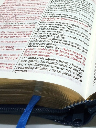 Imagen 2 de 8 de Biblia Estuche Azul Y Dorada Letra Grande Reina Valera 1960