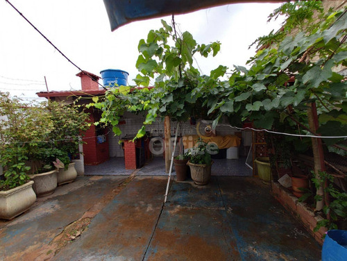 Imagem 28 de 28 de Casa Com 5 Quartos, Área Com Churrasqueira Nos Fundos, Ótima Oportunidade - Ca0705