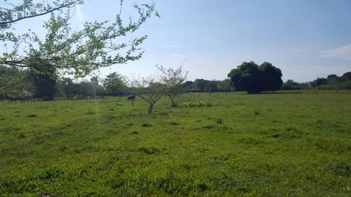 Lote En Venta En Vereda Rio Claro - Potrerito. Cod V7573