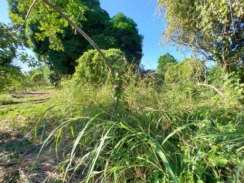 Venta Terreno 1538 M² Col. Juana Moza Tuxpan Veracruz