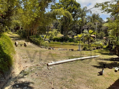 Imagem 28 de 30 de Sítio À Venda Em Juquitiba - 303 - 34847003