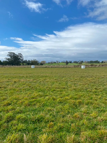 Parcela En Fundo Llanquihue A 10 Minutos De Puerto Varas