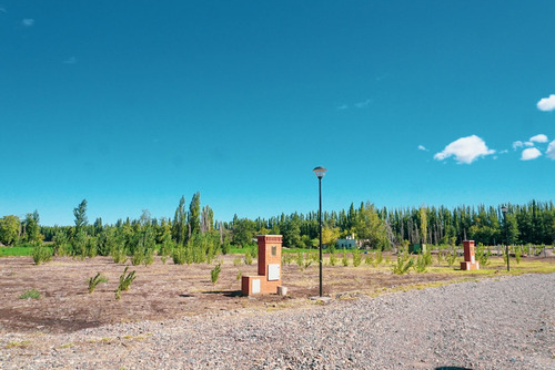 Imagen 16 de 26 de Terreno 1.000 M2 - B° Rincon De Natalia - Plottier