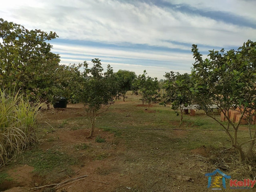 Imagem 13 de 19 de Vende-se Chácara Em Emilianópolis - Imobiliária Kelly Imóveis - 2276