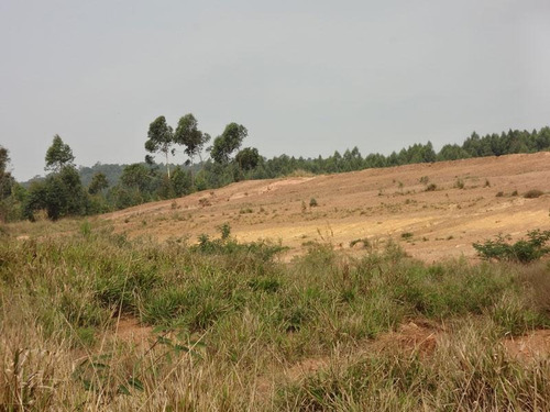 Imagem 2 de 3 de Área Industrial À Venda, Tamboré Polo Empresarial, Santana De Parnaíba. - Ar0412