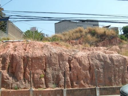 Terreno / Área Para Comprar No São Francisco Em Belo Horizonte/mg - 16350