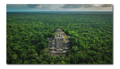 Cuadro Decorativo Calakmul Cultura Maya Foto Paisaje 180x100