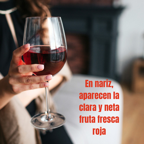 Vino Regalo Laureano Gomez Malbec Bodega Mendoza