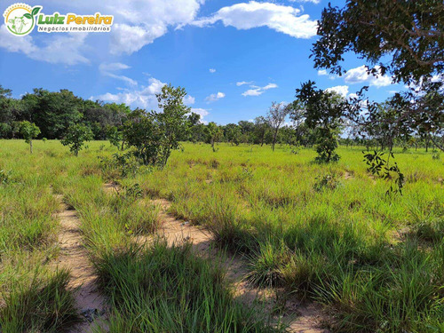 Imagem 3 de 10 de Fazenda À Venda Em Colinas - To - 498,53 Hectares (dupla Aptidão) - 2137