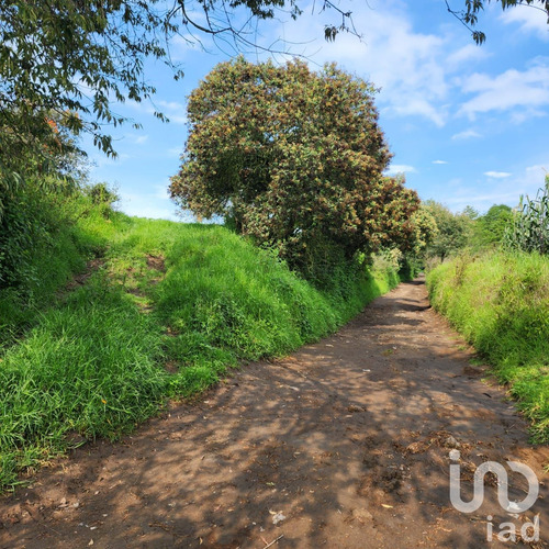 Venta Terreno 0 Ambiente San Antonio Zoyatzingo