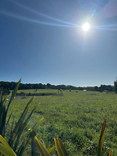 Lote 950 M2 Zona Cruz Del Sur En Chapadmalal - Excelente