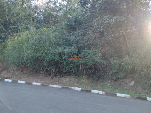 Imagem 2 de 4 de Terreno - Te00063 - 69839182