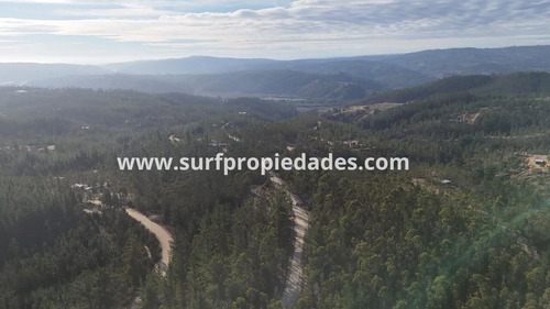 Pichilemu 1 Hectarea Vende Su Dueño Por Apuro