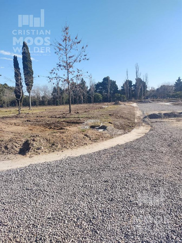 Terrenos En Barrio San Jeronimo- Matheu- Cristian Moswalder Negocios Inmobiliarios