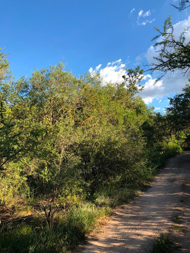 Imagen 6 de 14 de Lote De 3560m2 - Las Chacras - Villa De Las Rosas / Trasla