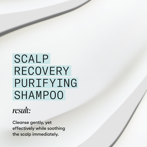 Shampoo Nioxin Scalp Recovery Purificante 200ml Para Caspa