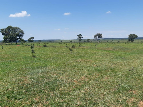 Imagem 8 de 11 de Fazenda Para Venda Em Santa Rita Do Pardo, Rural - Fazgu 315_1-1947859