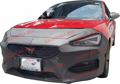 Antifaz Protector California Bra Premium Paracupra Leon 2023