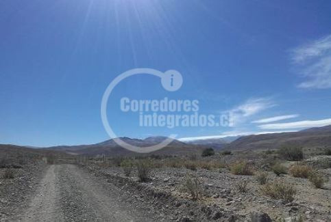 Agrícola En Venta En La Higuera