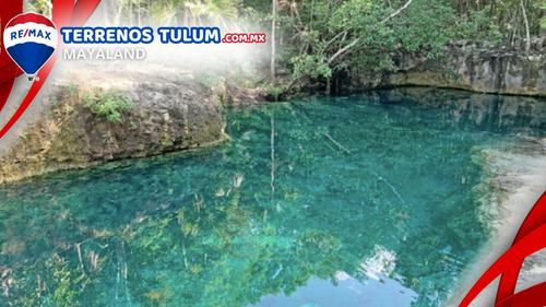 Cenote Con 17.5 Hectareas Con Frente De Carretera