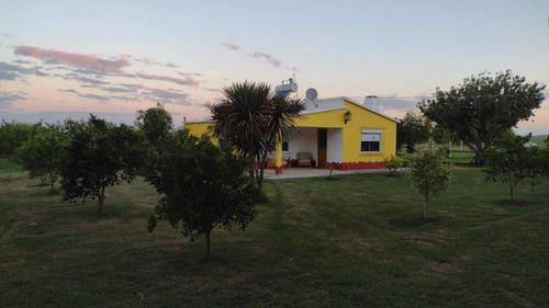 Chacra En Uruguay 3 Hct Soriano Casa Galpon Frutales