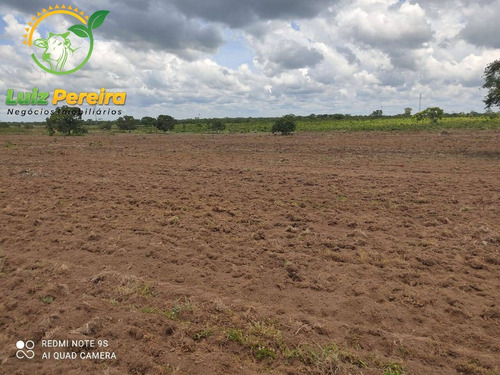 Imagem 6 de 10 de Fazenda À Venda Em Conceição Do Araguaia-pa-1.694 Hectares (dupla Aptidão) - 2028