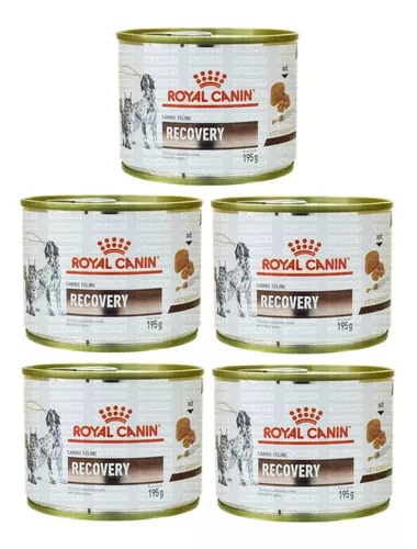 Ração Canine/feline Recovery Wet 195 Royal Canin Kit 5 Uni