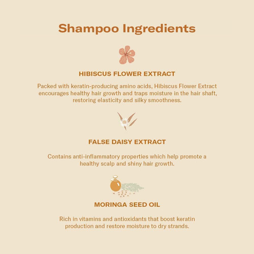 Conjunto Dae Signature Duo (shampoo E Condicionador)
