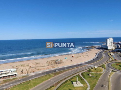 Imagen 10 de 20 de Apartamento En Venta - Brava