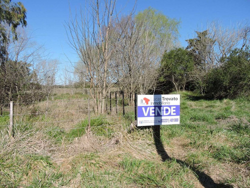 Imagen 2 de 8 de Lote En Punta Indio
