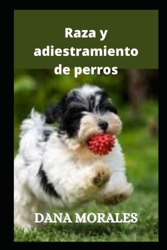 Raza Y Adiestramiento De Perros: Adiestramiento De Perros 10