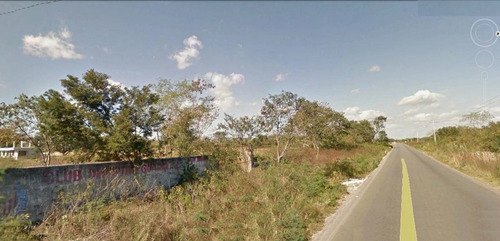 Imagen 3 de 7 de Terreno En Venta San José Tzal, Cholul