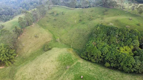 Vendo Permuto Finca Líbano Tolima