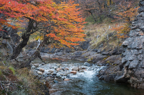 Patagonia, 2.800ha Excepcional Estancia Lago Bravo