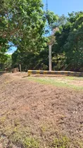 Comprar Parcelas En Venta Sección 215 Cementerio Del Este 