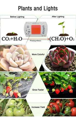 Imagen 8 de 8 de 10 X Leds Cob 50w Full Spectrum, Cultivo Indoor 220v Directo